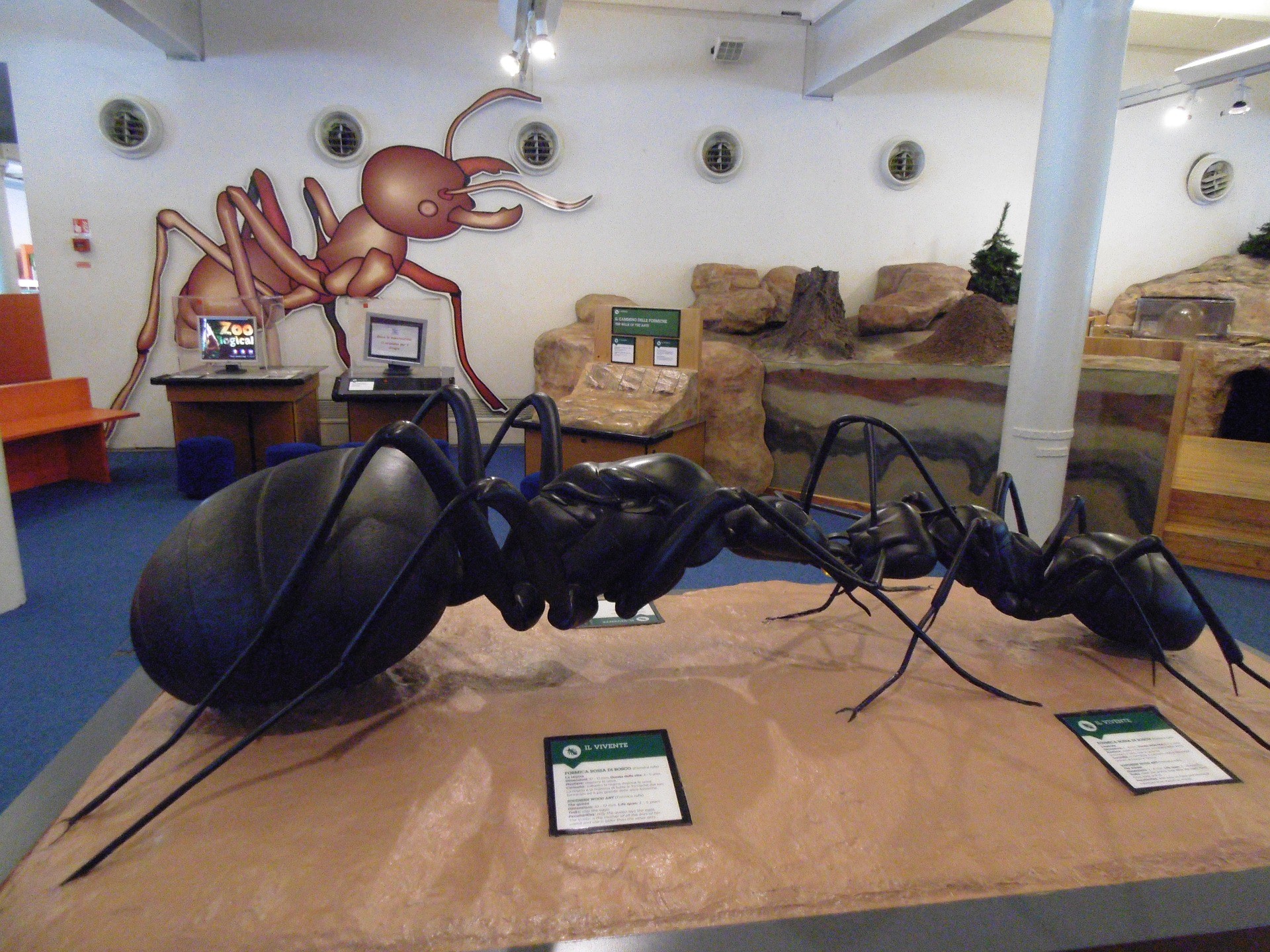 Figure of an big ant